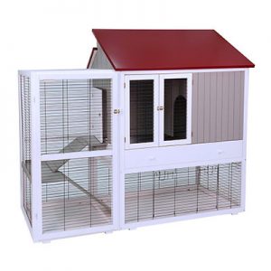 cages oiseaux Skyline