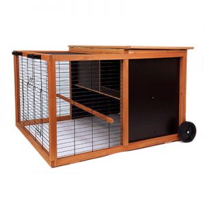 cages oiseaux Skyline