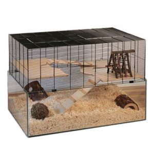 cages oiseaux Skyline